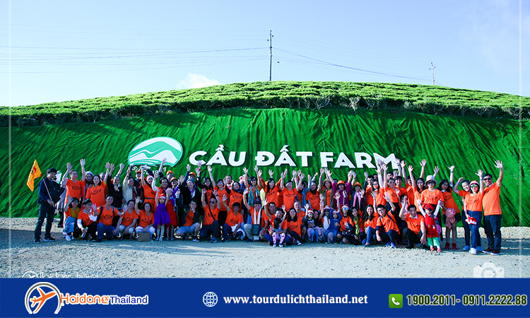 Hải Đăng Travel